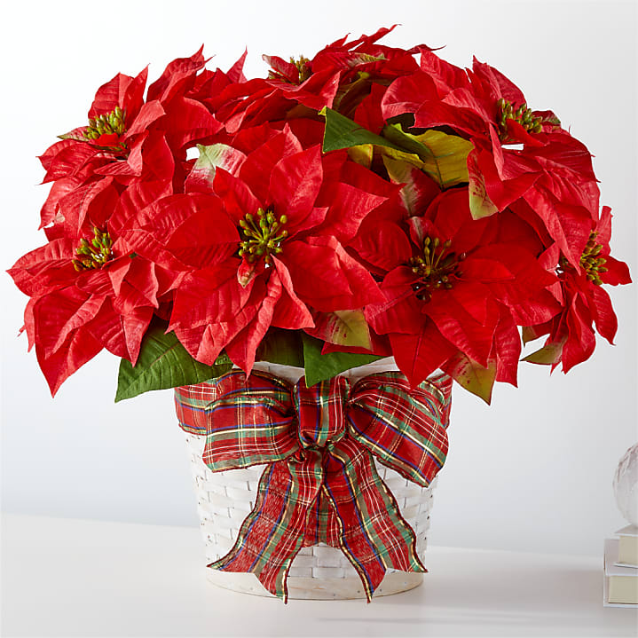 product image for Happiest Holidays Poinsettia