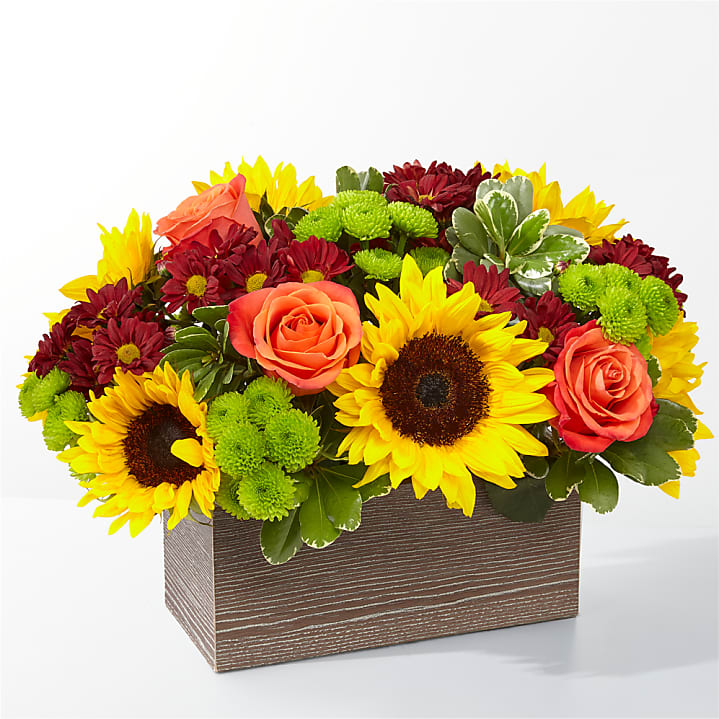 product image for Happy Harvest Garden