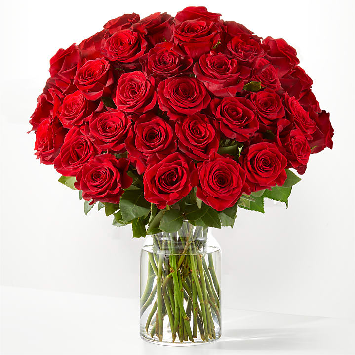 product image for Three Dozen Long Stem Red Roses