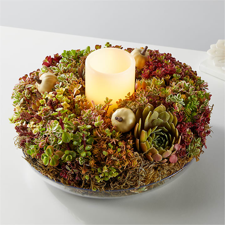product image for Living Succulent Wreath
