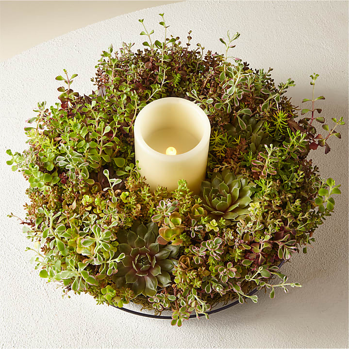 product image for Living Succulent Wreath & Ivory Candle