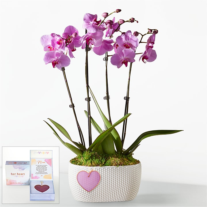 product image for Pink Orchid Garden with Mom Heart Keepsake