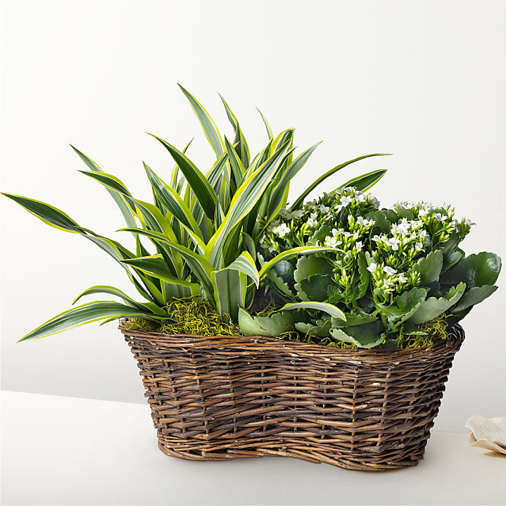 product image for Blooming Garden