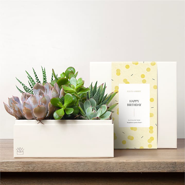 product image for Lula's Garden - Birthday Premium Gardens