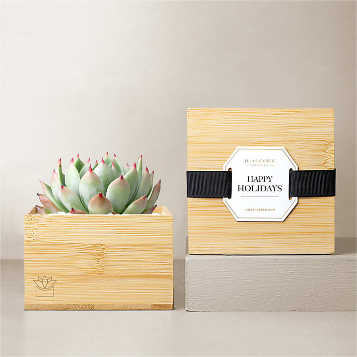 product image for Lula's Garden - Holiday Bamboo Gardens