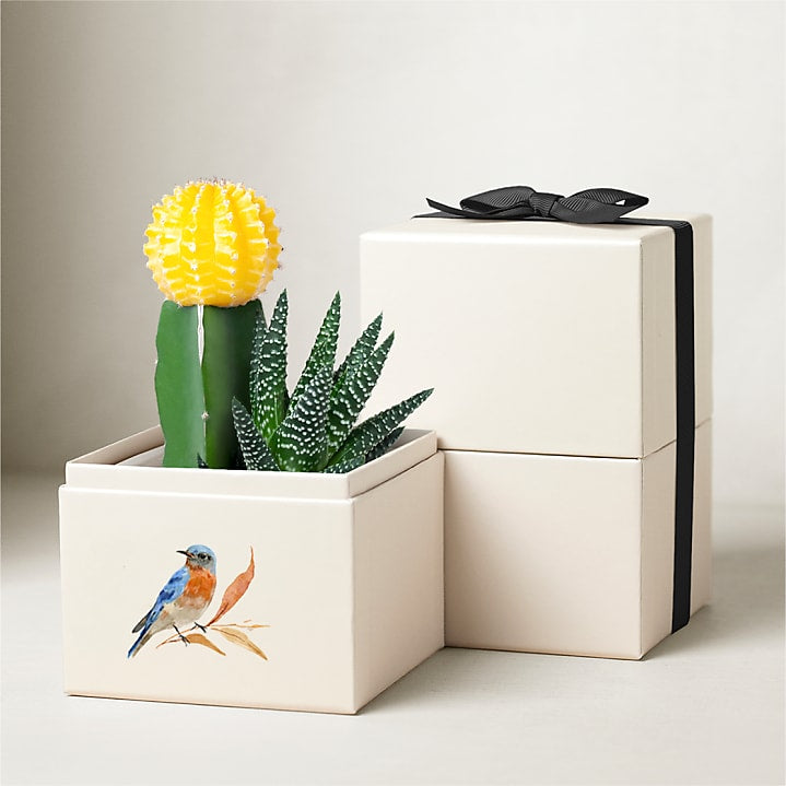 product image for Lula's Garden - Autumn Gardens