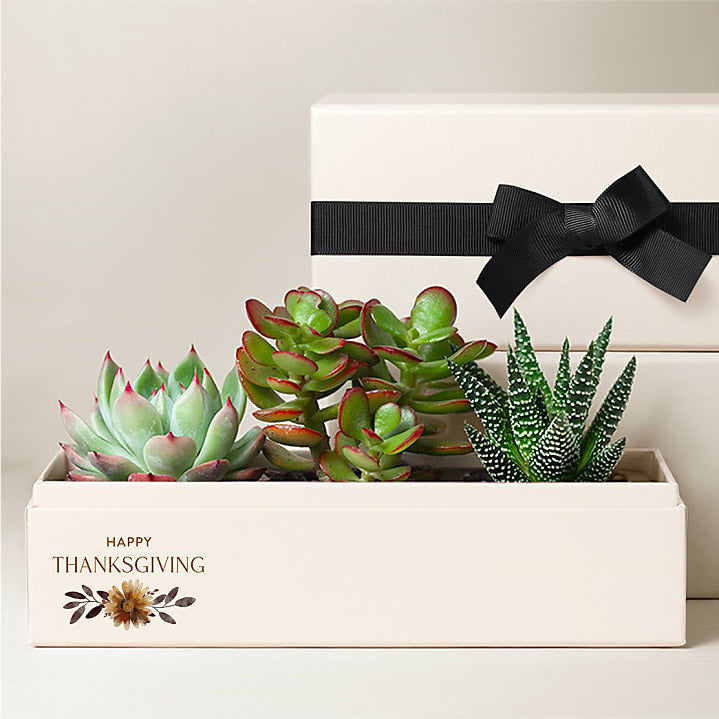 product image for Lula's Garden - Thanksgiving Gardens