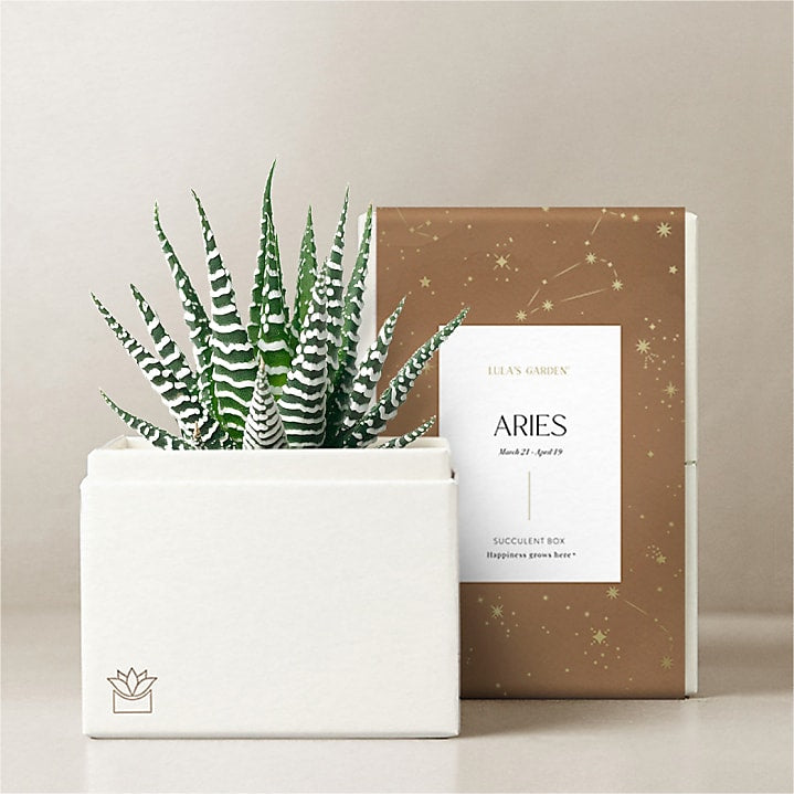 product image for Lula's Garden - Zodiac Gardens