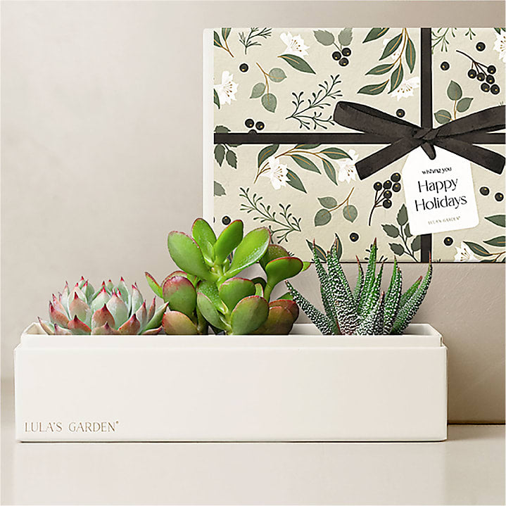 product image for Lula's Garden - Holiday Deluxe Gardens