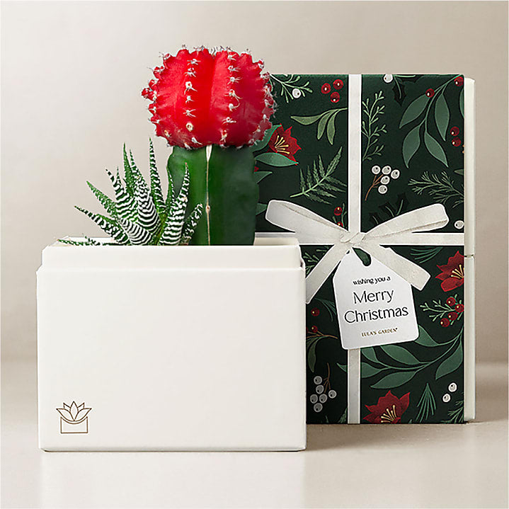 product image for Lula's Garden - Christmas Petite Gardens