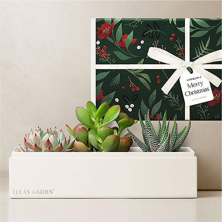 product image for Lula's Garden - Christmas Deluxe Gardens