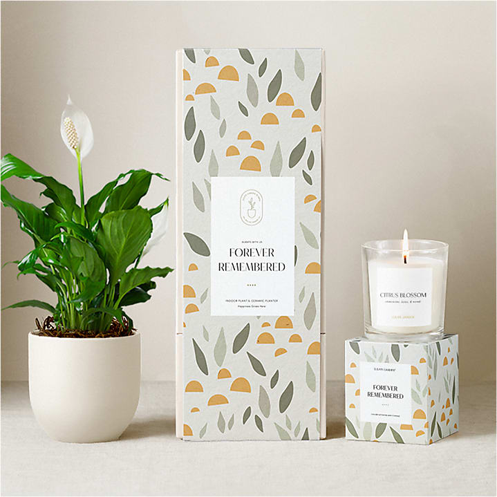 product image for Lula's Peace Lily Plant Gift Set - Forever Remembered