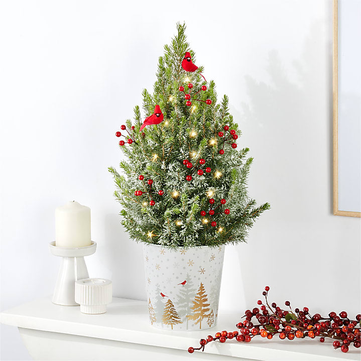 product image for Winter Woodland Mini Tree